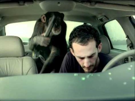 monkey trunk commercial|suburban trunk monkey commercials.